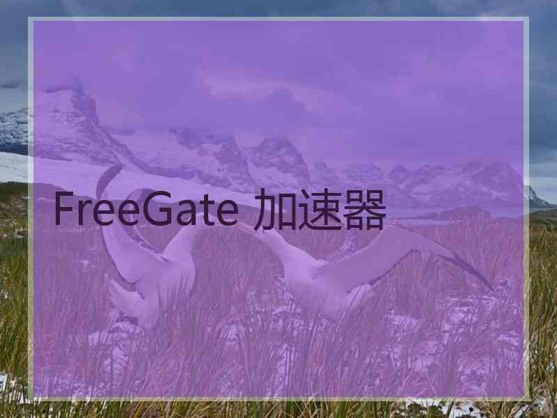 FreeGate 加速器