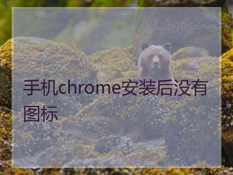 手机chrome安装后没有图标