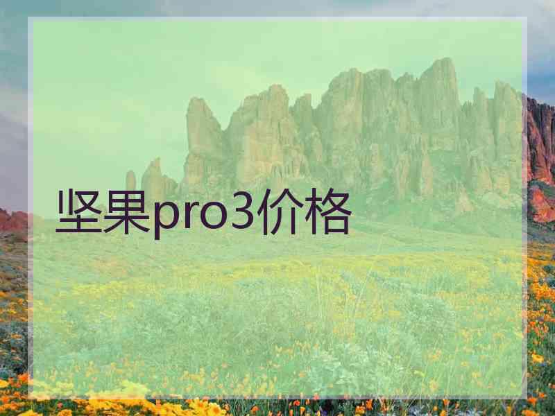 坚果pro3价格