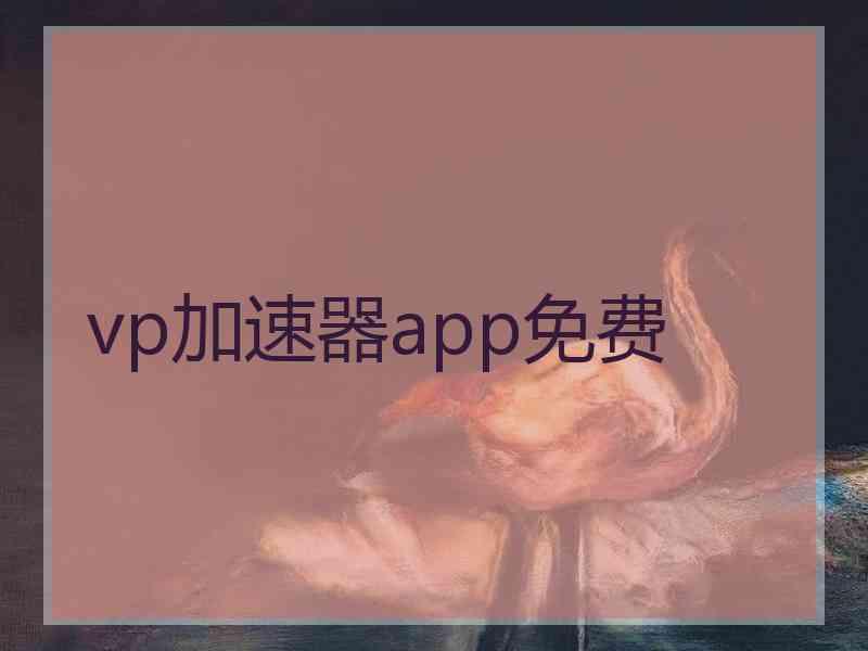 vp加速器app免费