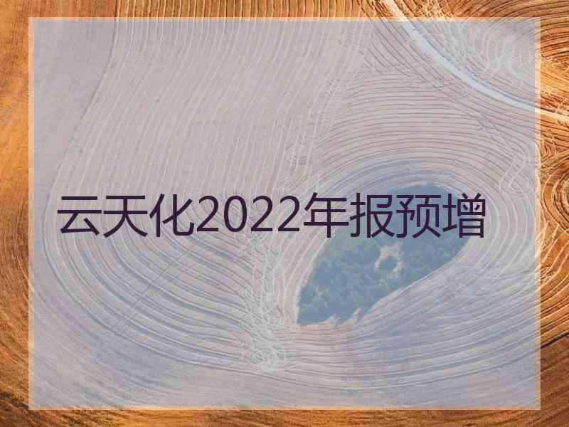 云天化2022年报预增