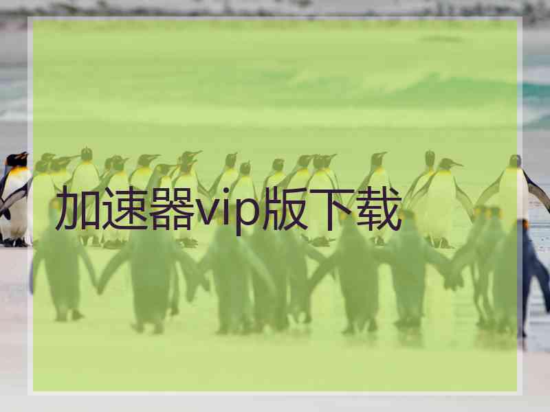 加速器vip版下载