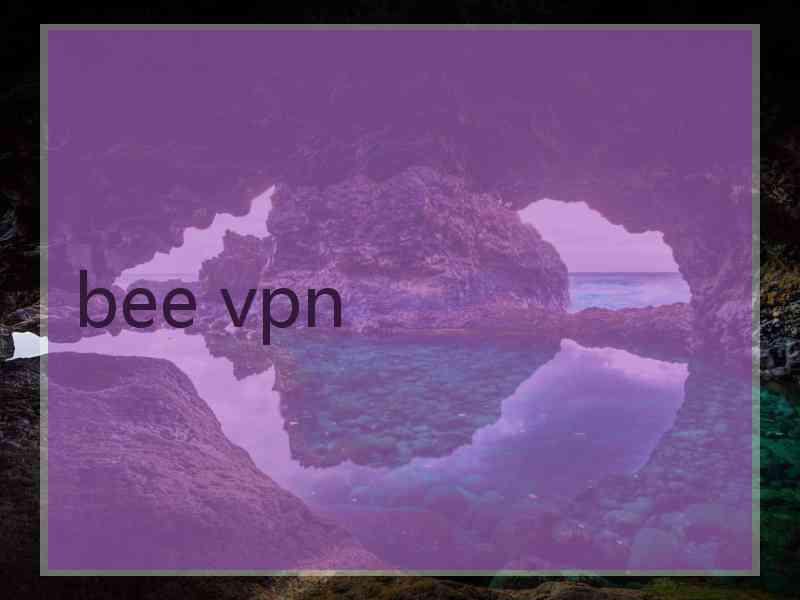 bee vpn