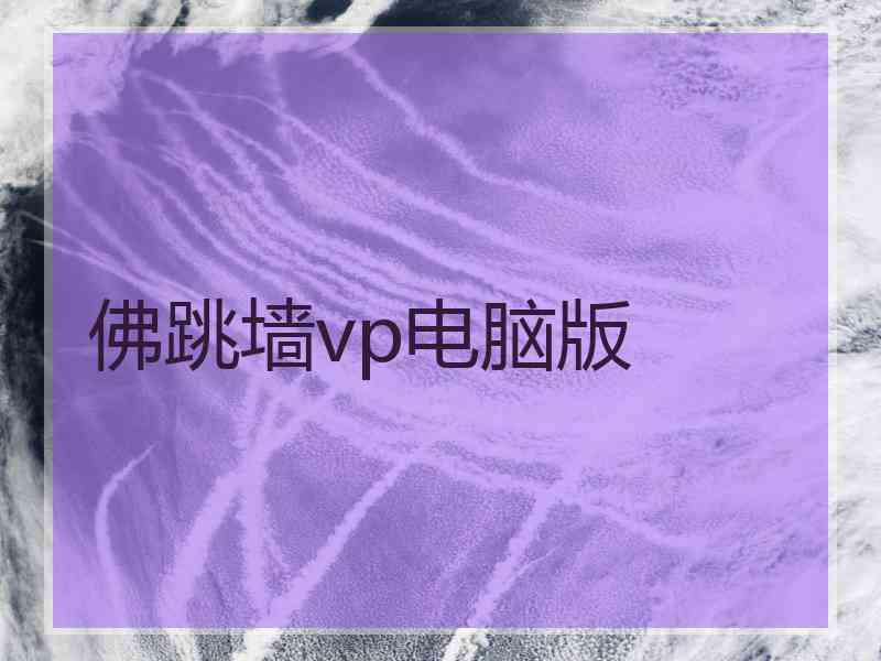 佛跳墙vp电脑版